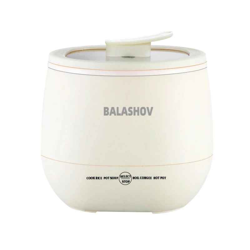 Cuiseur a riz - Multicuiseurs portatif 1,8L