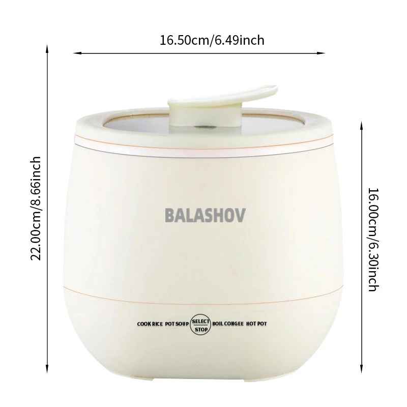 Cuiseur a riz - Multicuiseurs portatif 1,8L