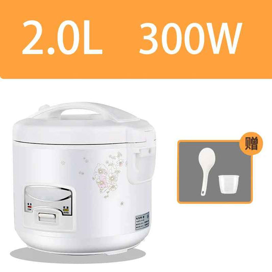 Cuiseur a riz | Domestique 300 Watts
