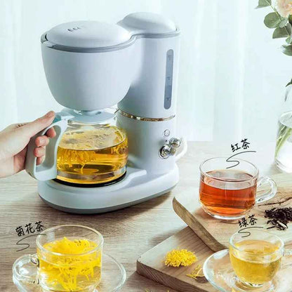 Cafetiere filtre programmable | Petite