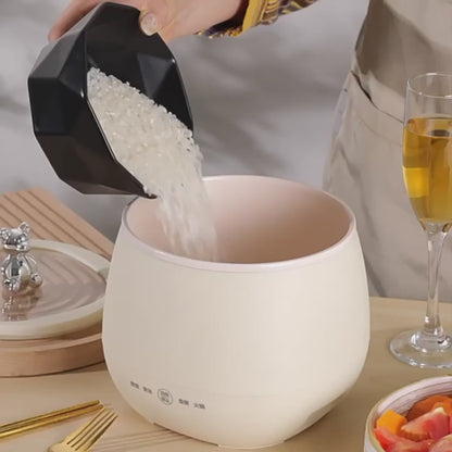 Cuiseur a riz - Multicuiseurs portatif 1,8L